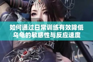 如何通过日常训练有效降低乌龟的敏感性与反应速度