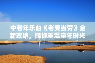 中老年乐曲《老麦当劳》全新改编，陪你重温童年时光