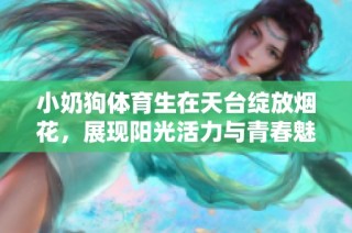 小奶狗体育生在天台绽放烟花，展现阳光活力与青春魅力