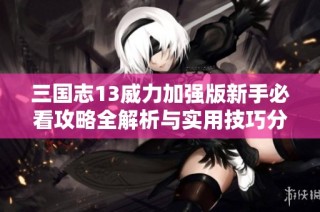 三国志13威力加强版新手必看攻略全解析与实用技巧分享