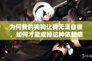为何我的狗狗让我无法自拔，如何才能戒掉这种依赖感呢？