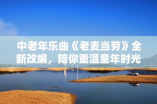 中老年乐曲《老麦当劳》全新改编，陪你重温童年时光
