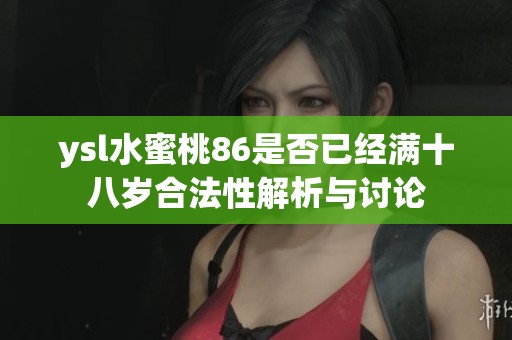 ysl水蜜桃86是否已经满十八岁合法性解析与讨论