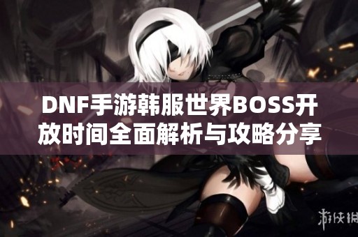 DNF手游韩服世界BOSS开放时间全面解析与攻略分享