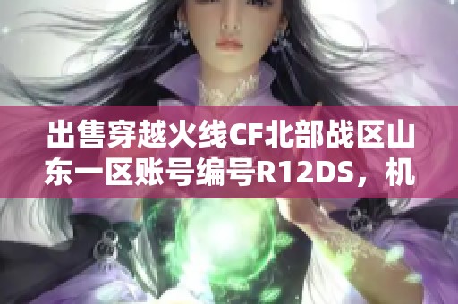 出售穿越火线CF北部战区山东一区账号编号R12DS，机会难得！
