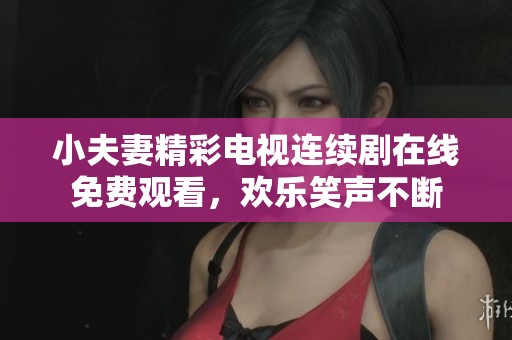 小夫妻精彩电视连续剧在线免费观看，欢乐笑声不断
