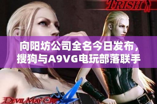 向阳坊公司全名今日发布，搜狗与A9VG电玩部落联手推广新游戏资讯