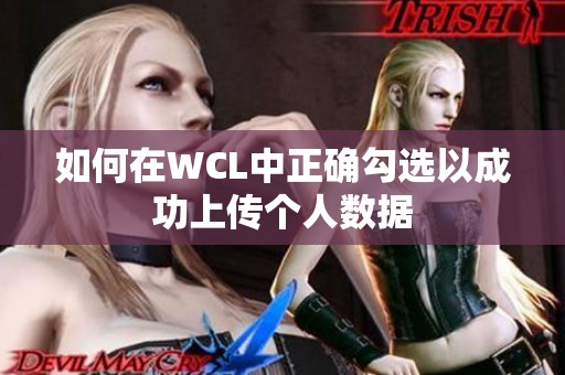 如何在WCL中正确勾选以成功上传个人数据