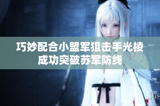 巧妙配合小盟军狙击手光棱成功突破苏军防线
