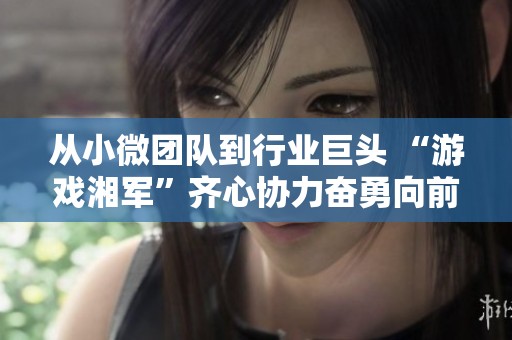 从小微团队到行业巨头 “游戏湘军”齐心协力奋勇向前