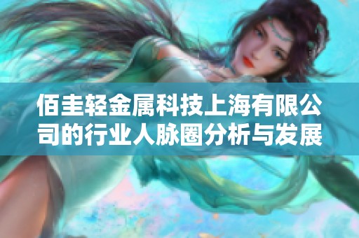 佰圭轻金属科技上海有限公司的行业人脉圈分析与发展潜力探讨