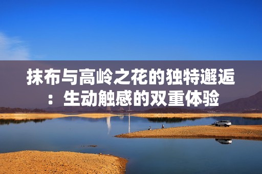 抹布与高岭之花的独特邂逅：生动触感的双重体验