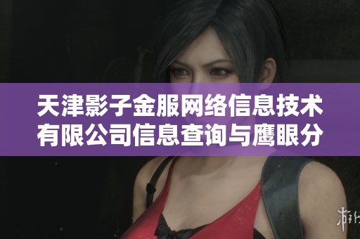 天津影子金服网络信息技术有限公司信息查询与鹰眼分析服务详解
