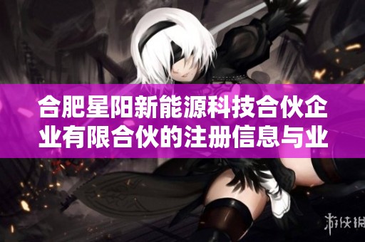 合肥星阳新能源科技合伙企业有限合伙的注册信息与业务概况分析