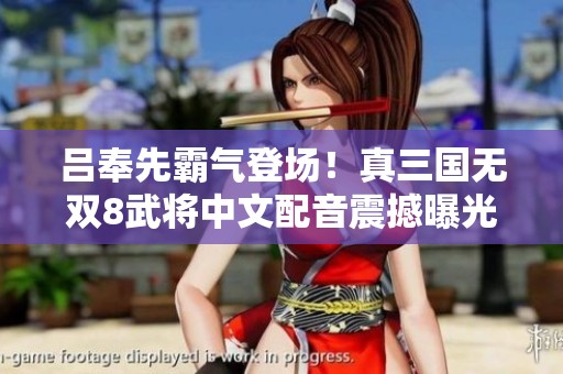 吕奉先霸气登场！真三国无双8武将中文配音震撼曝光