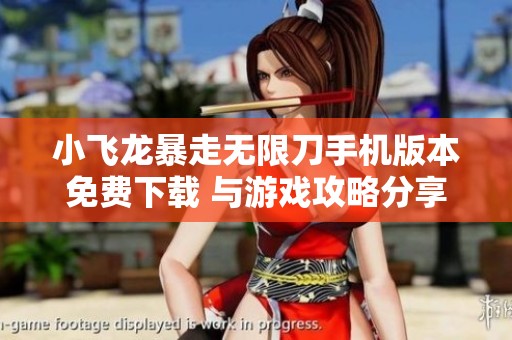 小飞龙暴走无限刀手机版本免费下载 与游戏攻略分享