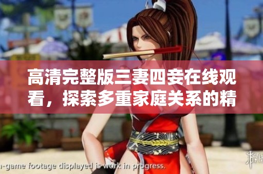高清完整版三妻四妾在线观看，探索多重家庭关系的精彩故事