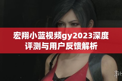 宏翔小蓝视频gy2023深度评测与用户反馈解析