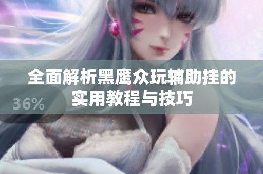 全面解析黑鹰众玩辅助挂的实用教程与技巧