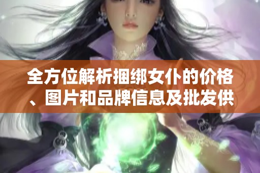 全方位解析捆绑女仆的价格、图片和品牌信息及批发供应商