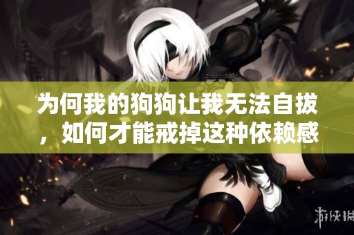 为何我的狗狗让我无法自拔，如何才能戒掉这种依赖感呢？