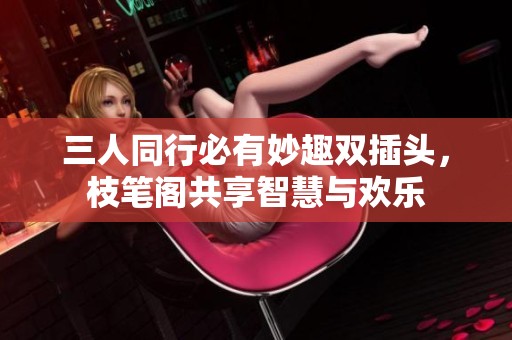 三人同行必有妙趣双插头，枝笔阁共享智慧与欢乐