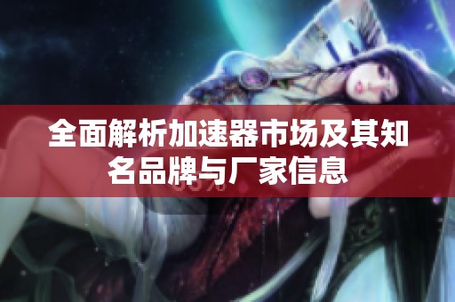 全面解析加速器市场及其知名品牌与厂家信息