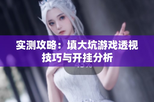实测攻略：填大坑游戏透视技巧与开挂分析