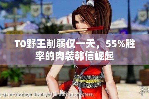 T0野王削弱仅一天，55%胜率的肉装韩信崛起