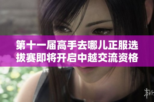 第十一届高手去哪儿正服选拔赛即将开启中越交流资格申请
