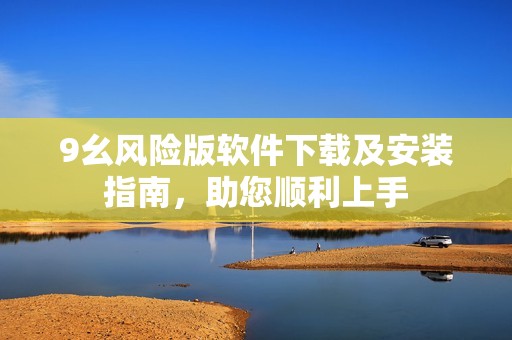9幺风险版软件下载及安装指南，助您顺利上手