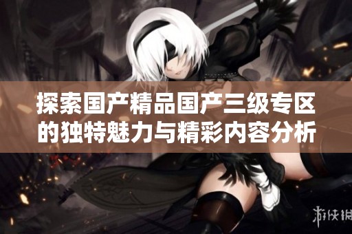 探索国产精品国产三级专区的独特魅力与精彩内容分析