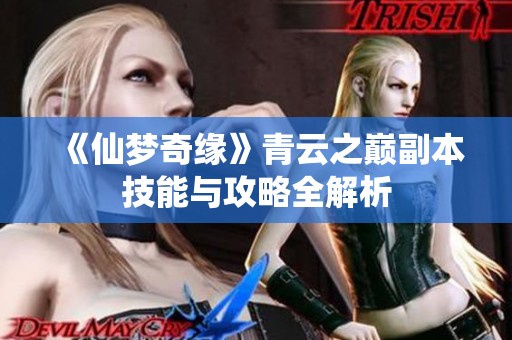《仙梦奇缘》青云之巅副本技能与攻略全解析